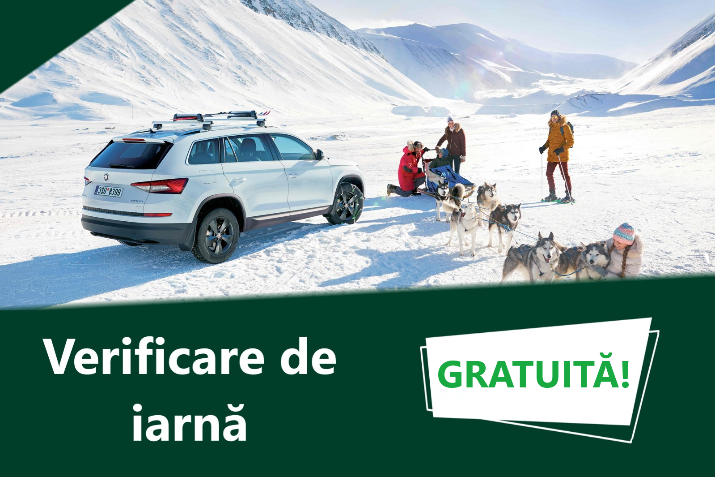 verificare de iarna